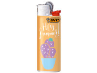 BIC Mini J25 Reibrad Feuerzeuge "Summer Cactus", 50er Display*