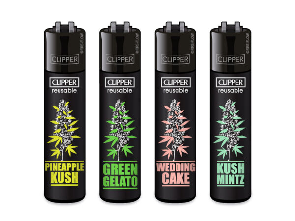 Clipper Large PLANTZ #6; 48er Display