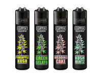 Clipper Large PLANTZ #6; 48er Display