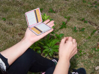 Zigarettenetui "Pink" für 20 Zig., mit Gummiband, 4-fach sortiert, 12er Display