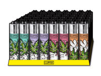 Clipper Large CARTOON CBD, 48er Display