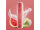 HQD SURV - Melon Punch (Melone) - Einweg Vape - 18 mg - 600 Z&uuml;ge